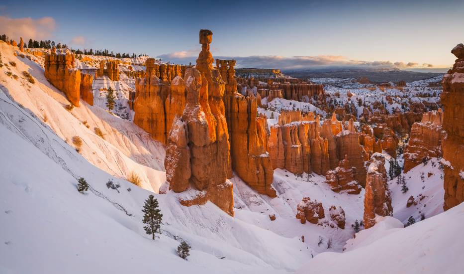 Photo - USA - Bryce Canyon #21